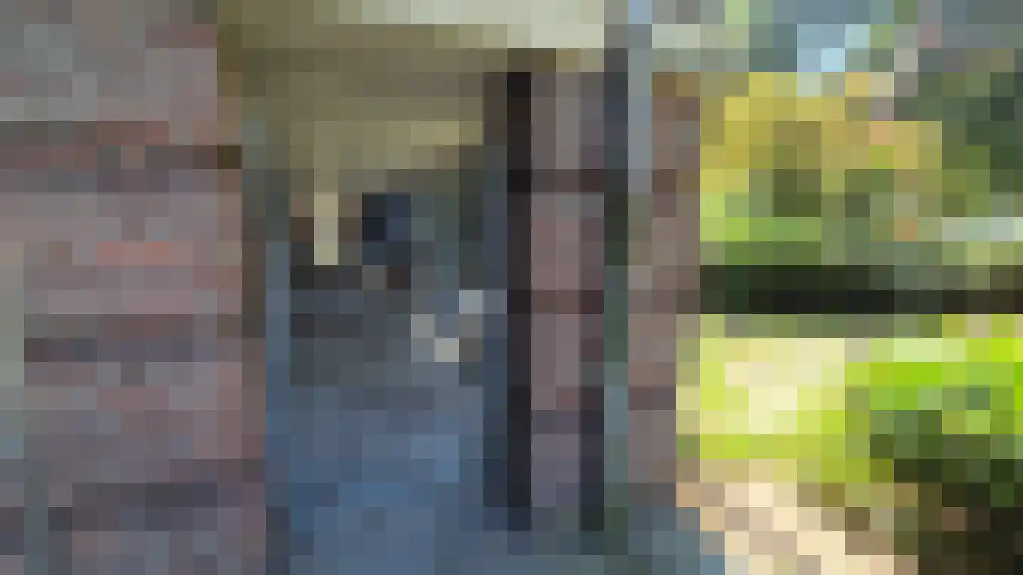 Johannes van Zantenstraat 23 Tilburg thumbnail 20
