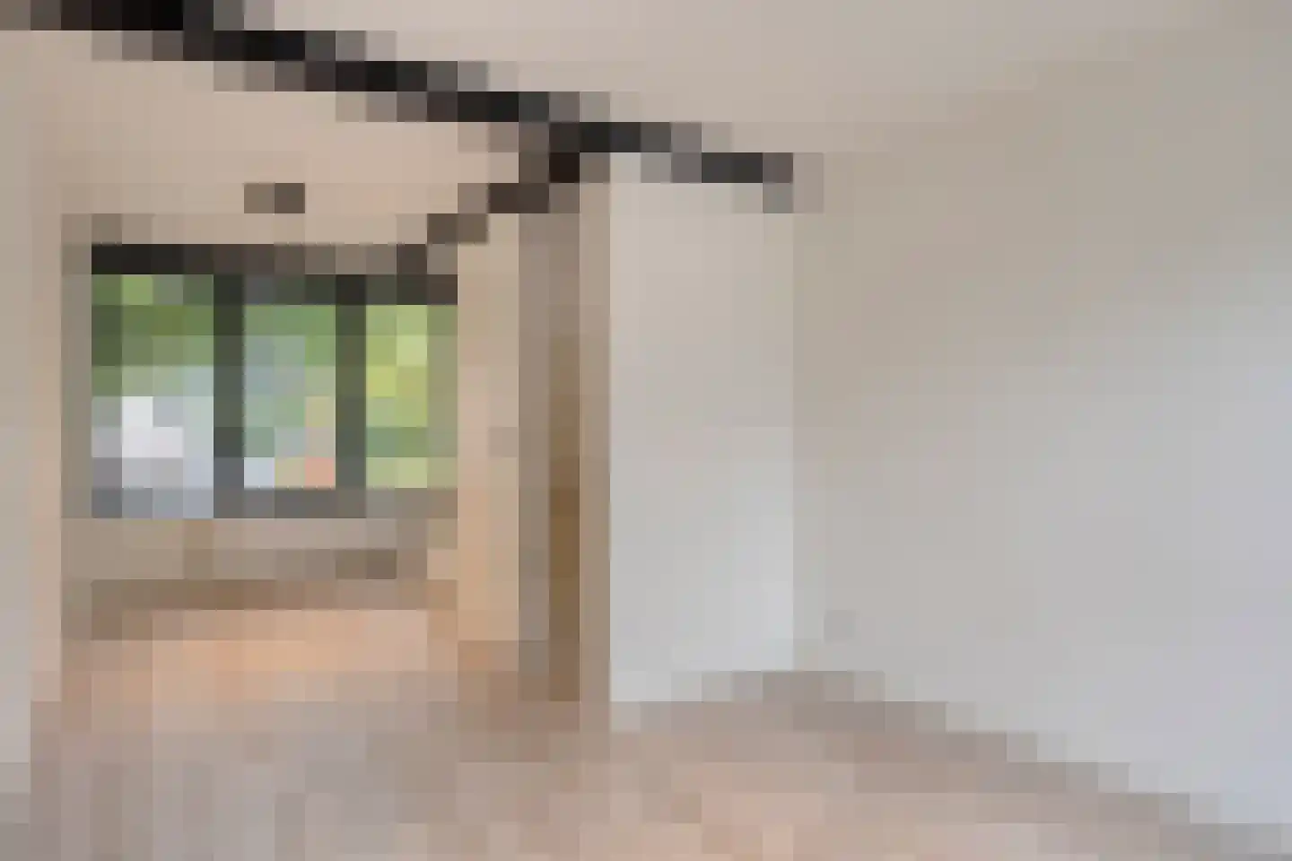 Johannes van Zantenstraat 24 Tilburg thumbnail 15