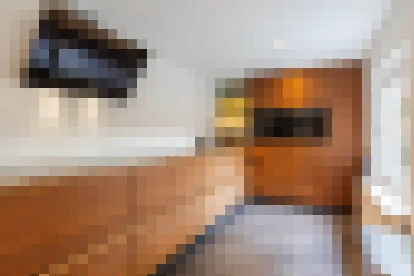 Johannes van Zantenstraat 32 Tilburg thumbnail 14