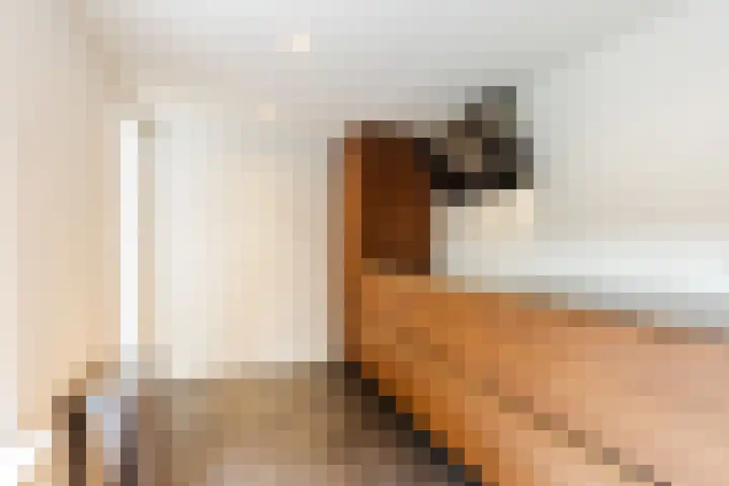 Johannes van Zantenstraat 32 Tilburg thumbnail 15