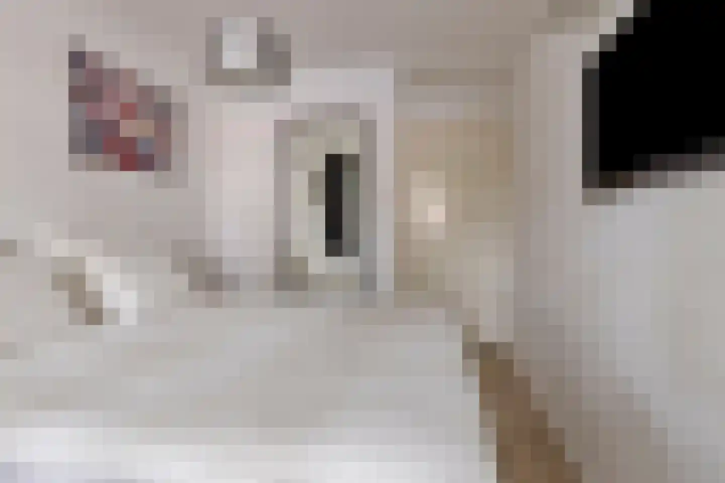 Johannes van Zantenstraat 51 Tilburg thumbnail 13
