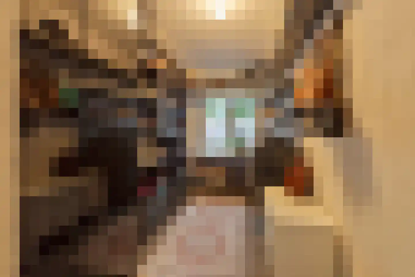 Johannes van Zantenstraat 51 Tilburg thumbnail 16