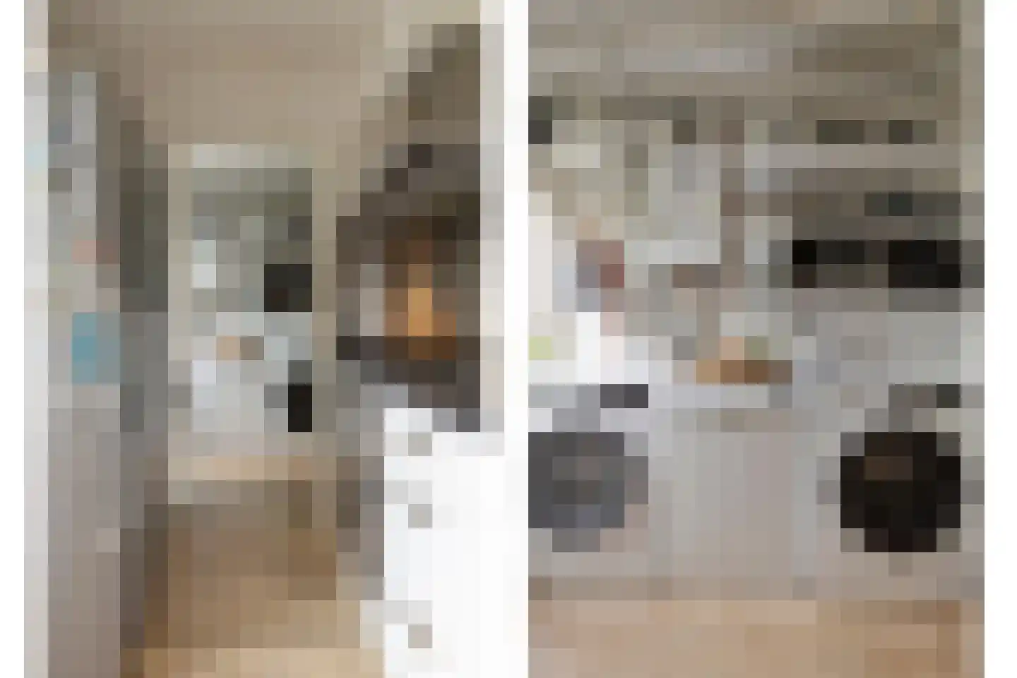 Johannes van Zantenstraat 51 Tilburg thumbnail 18