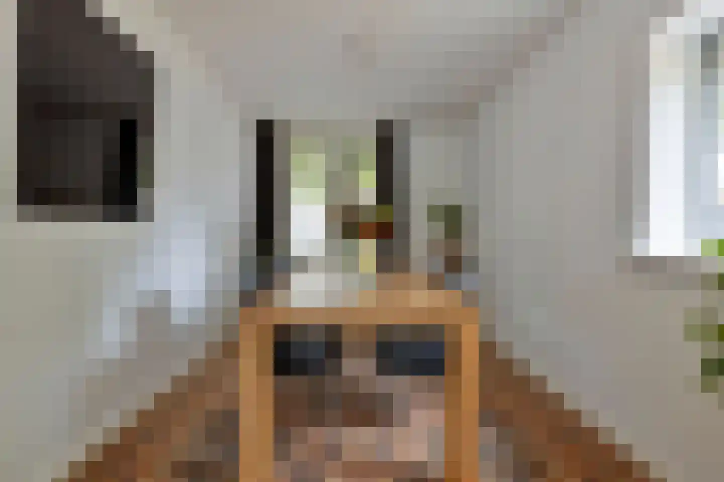 Johannes van Zantenstraat 51 Tilburg thumbnail 6