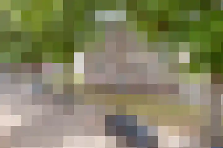 Johannes van Zantenstraat 63 Tilburg thumbnail 28
