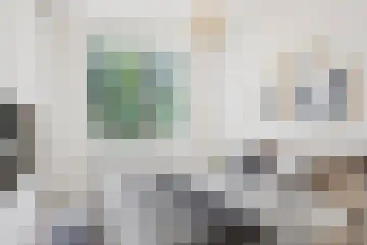 Johannes van Zantenstraat 63 Tilburg thumbnail 8