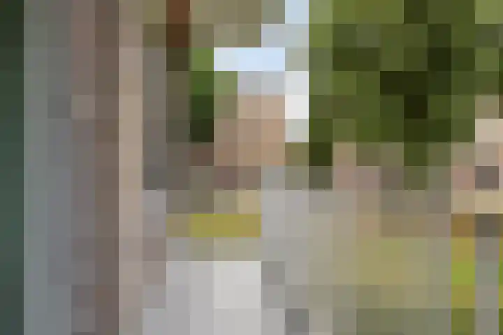 Johannes van Zantenstraat 67 Tilburg thumbnail 15