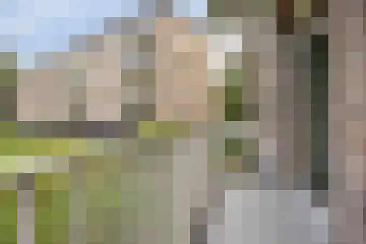 Johannes van Zantenstraat 67 Tilburg thumbnail 16