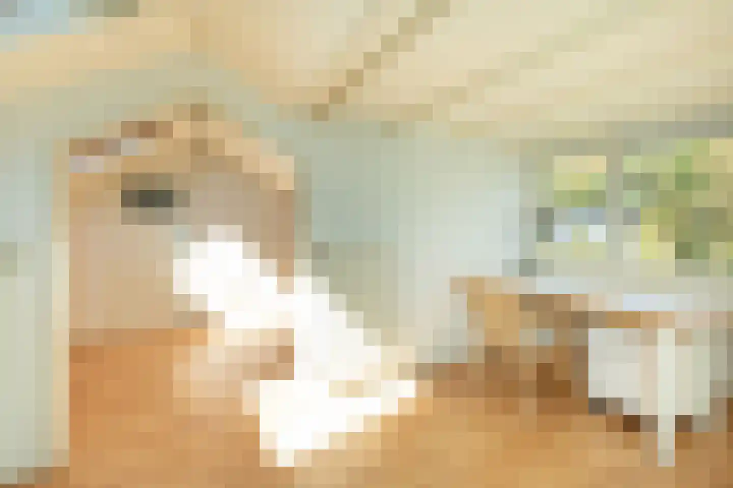 Johannes Verhulstlaan 22 Baarn thumbnail 26