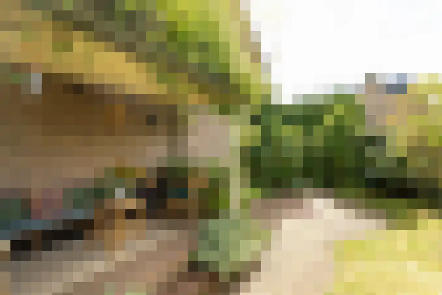 Johannes Verhulstlaan 22 Baarn thumbnail 29