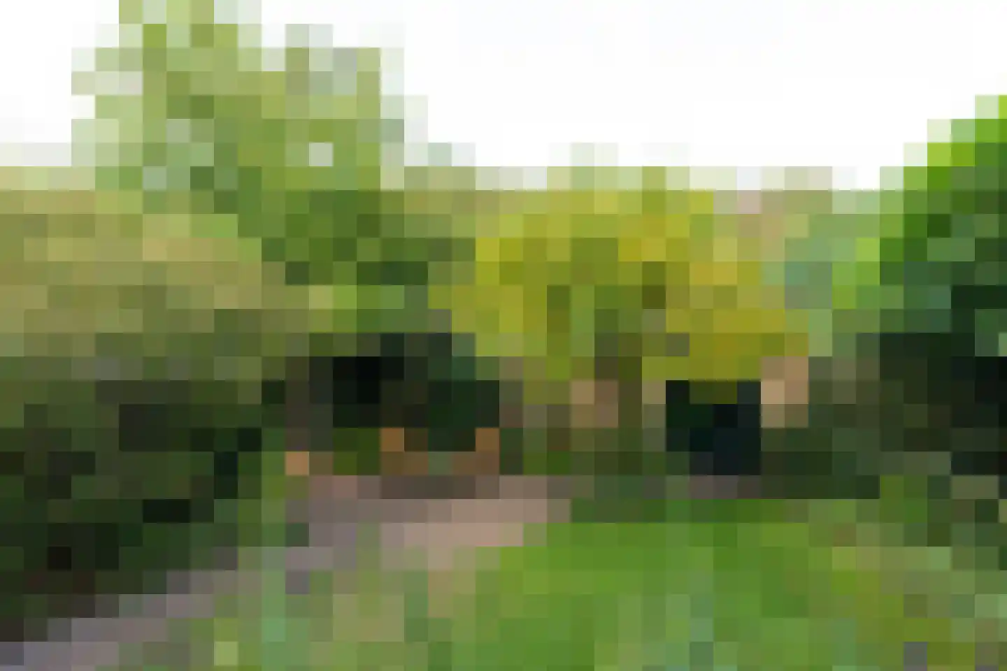 Johannes Verhulstlaan 22 Baarn thumbnail 5