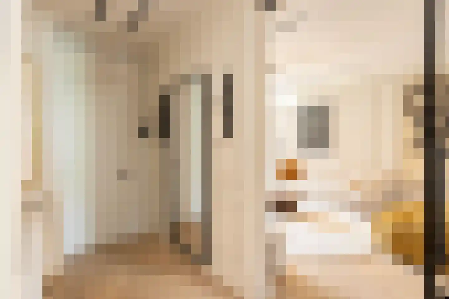 Johannes Verhulststraat 127 2 Amsterdam thumbnail 7