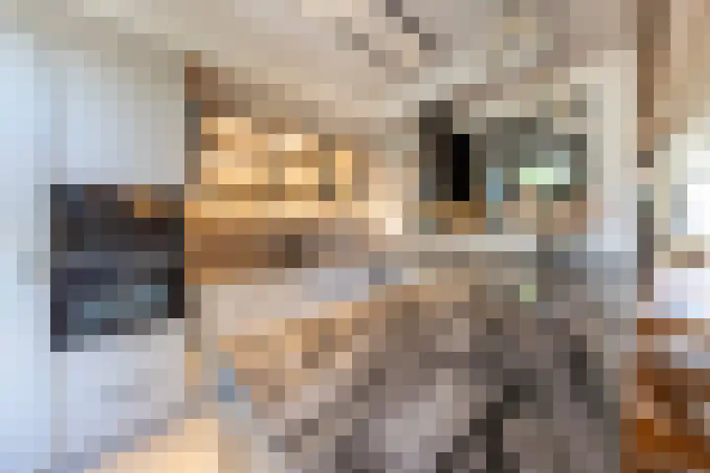 Johannes Verhulststraat 127 2 Amsterdam thumbnail 8