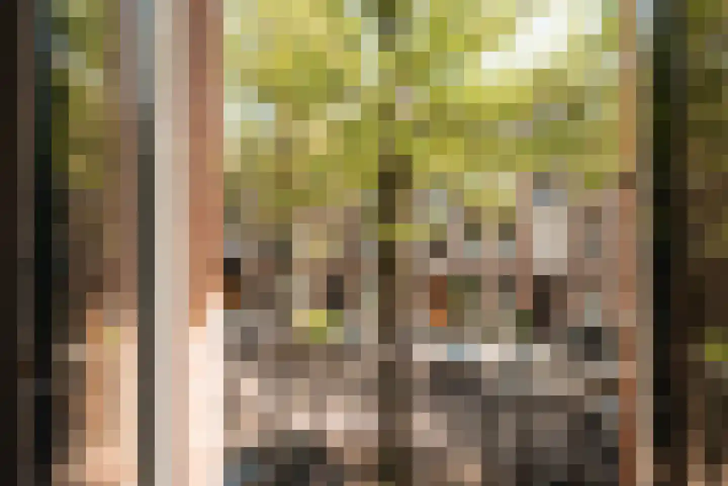 Johannes Verhulststraat 134 1 Amsterdam thumbnail 9