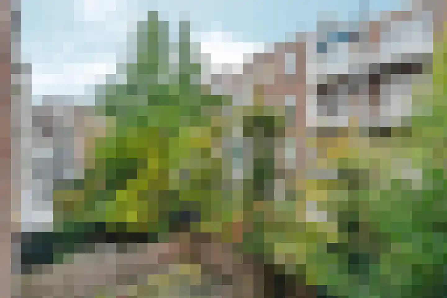 Johannes Verhulststraat 138 1 Amsterdam thumbnail 23