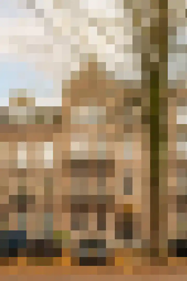 Johannes Verhulststraat 143 A Amsterdam foto 2