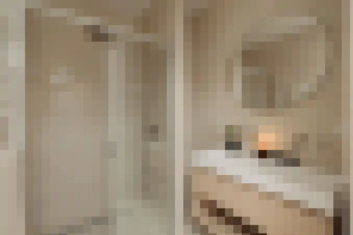 Johannes Verhulststraat 143 D Amsterdam thumbnail 21