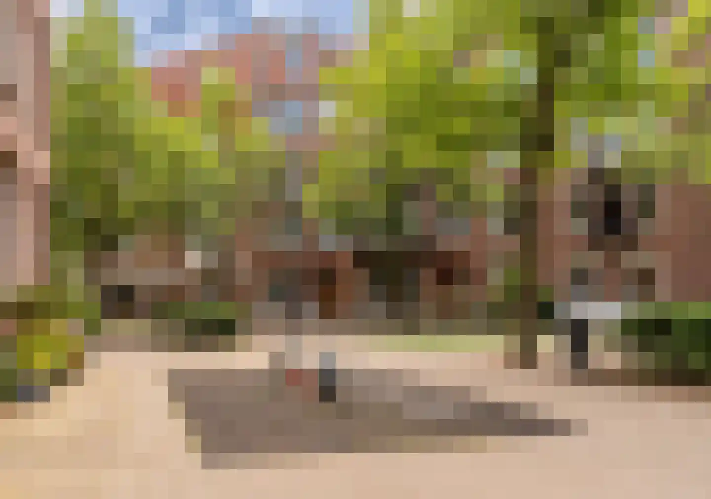 Johannes Verhulststraat 169 2 Amsterdam thumbnail 55