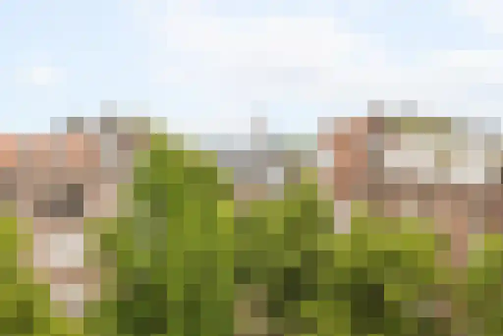 Johannes Verhulststraat 170 2 Amsterdam thumbnail 29