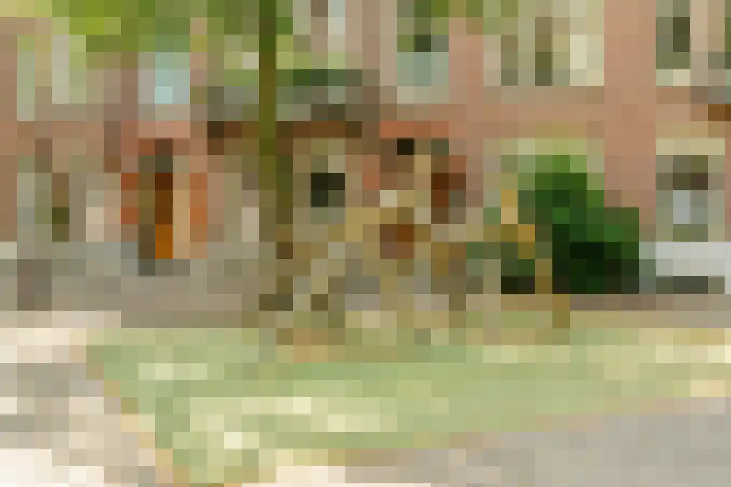 Johannes Verhulststraat 206 2 Amsterdam thumbnail 32