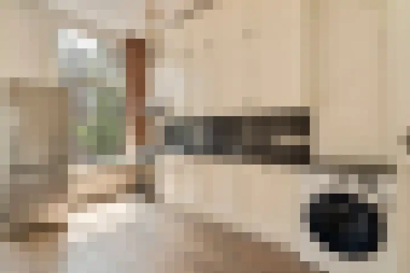 Johannes Verhulststraat 206 2 Amsterdam thumbnail 6