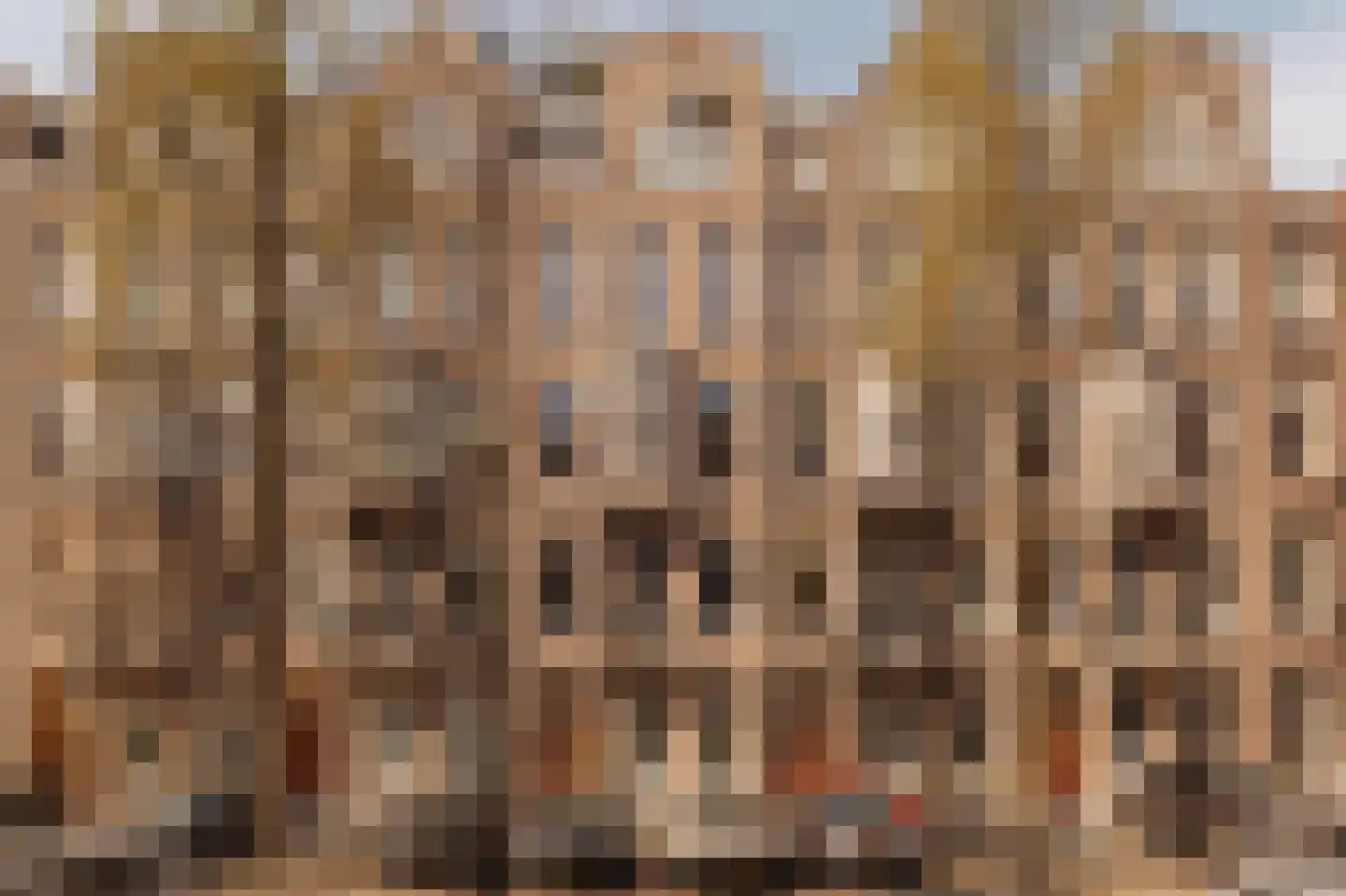 Johannes Verhulststraat 210 A Amsterdam foto 2