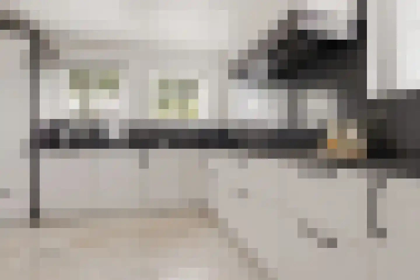 Johannes Verhulststraat 22 Zaandijk thumbnail 16