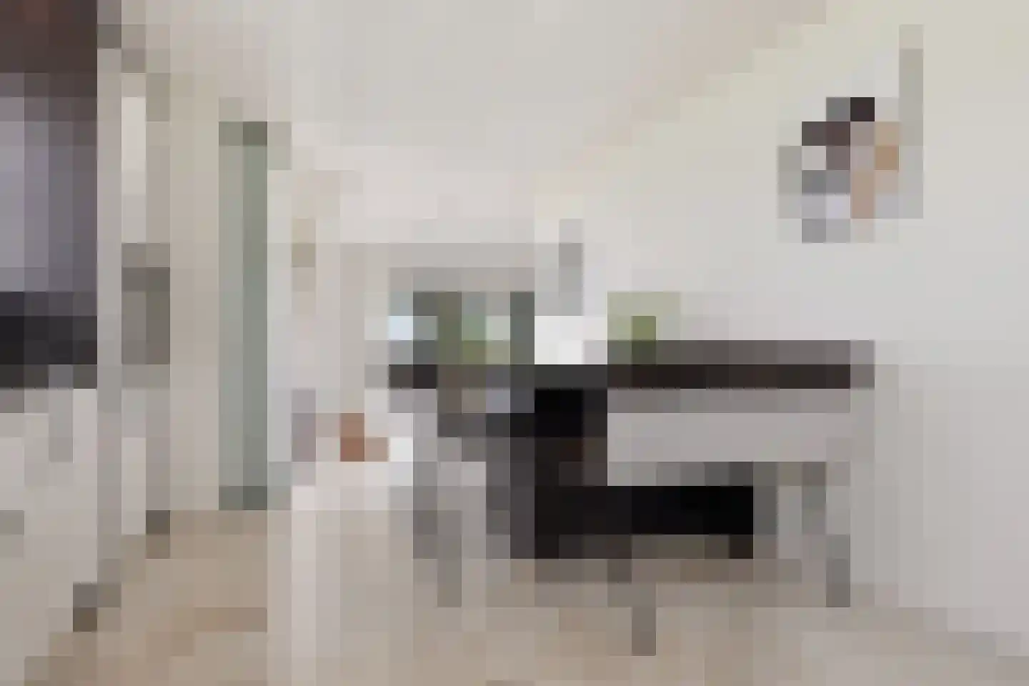 Johannes Verhulststraat 22 Zaandijk thumbnail 17