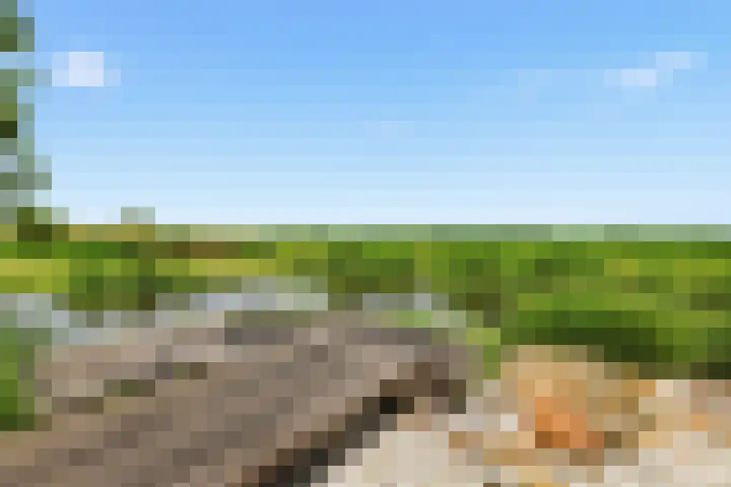 Johannes Verhulststraat 22 Zaandijk thumbnail 23