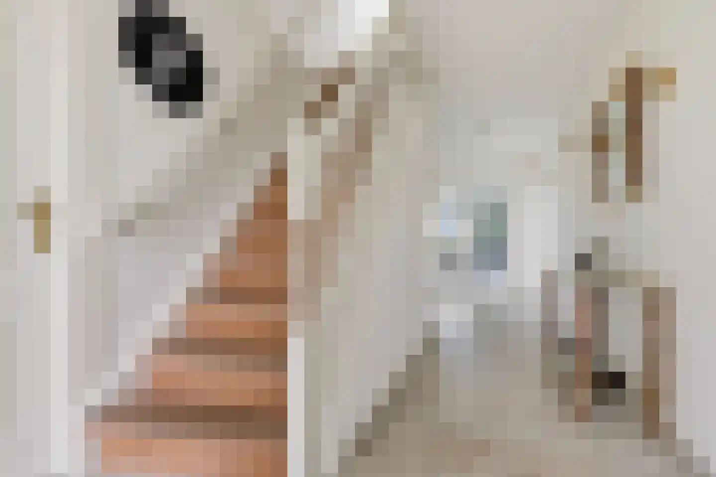 Johannes Verhulststraat 22 Zaandijk thumbnail 25