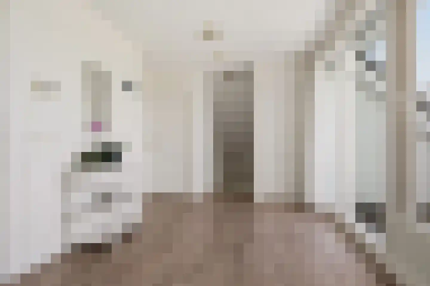 Johannes Verhulststraat 22 Zaandijk thumbnail 26