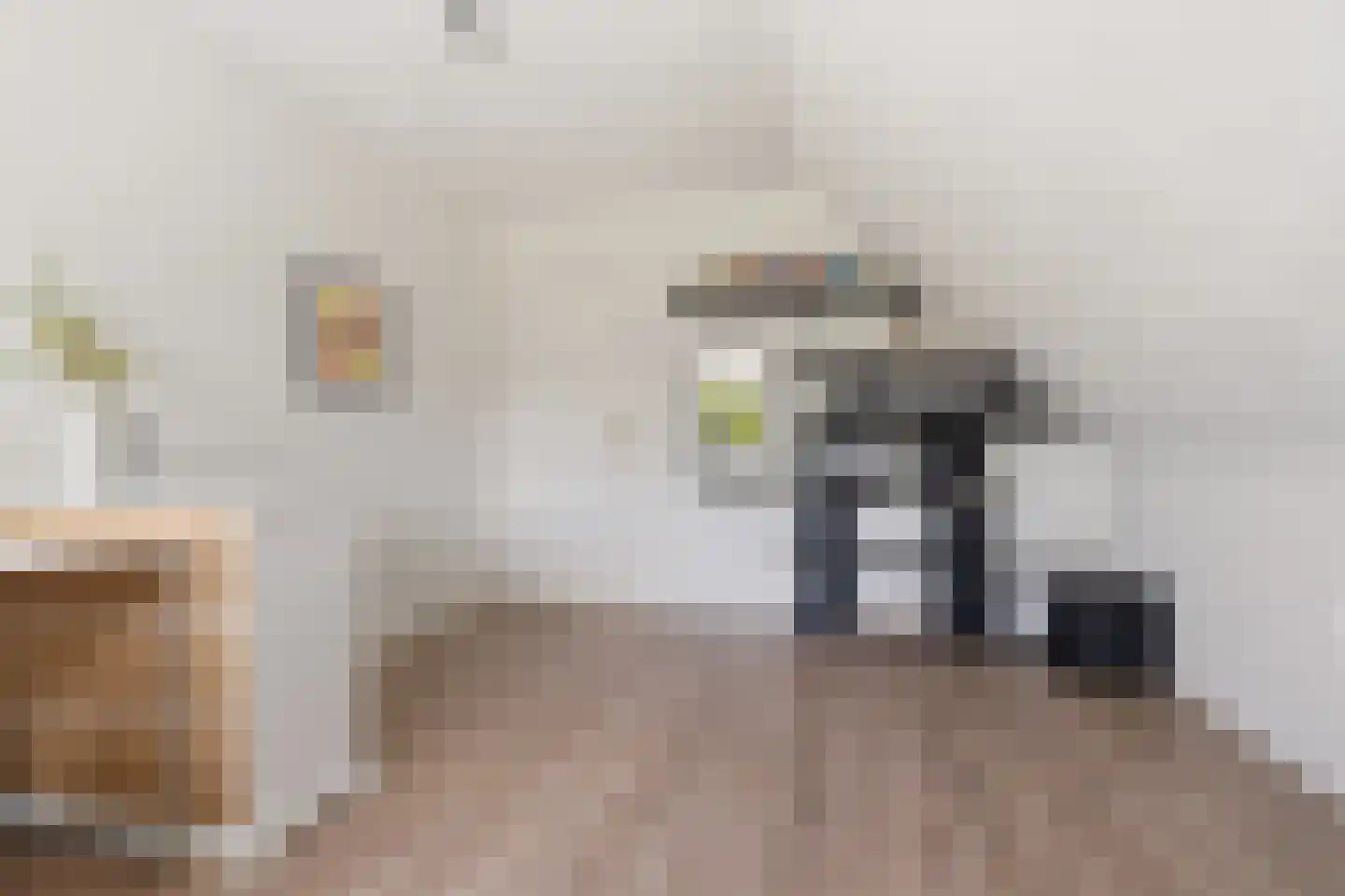 Johannes Verhulststraat 22 Zaandijk thumbnail 33