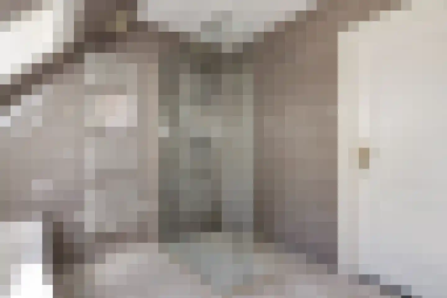 Johannes Verhulststraat 22 Zaandijk thumbnail 37
