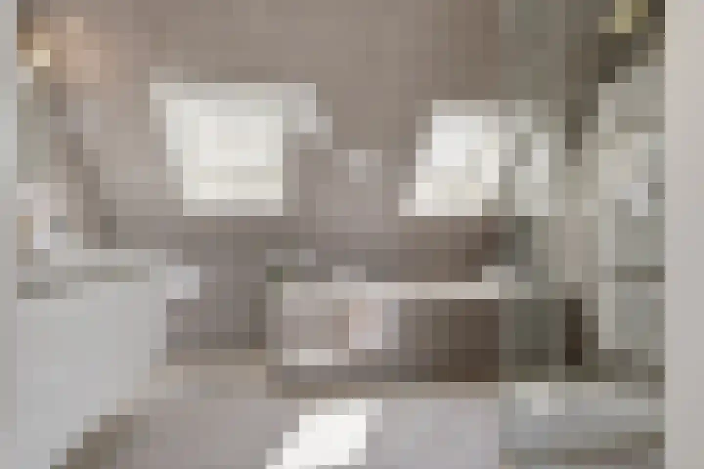 Johannes Verhulststraat 22 Zaandijk thumbnail 38