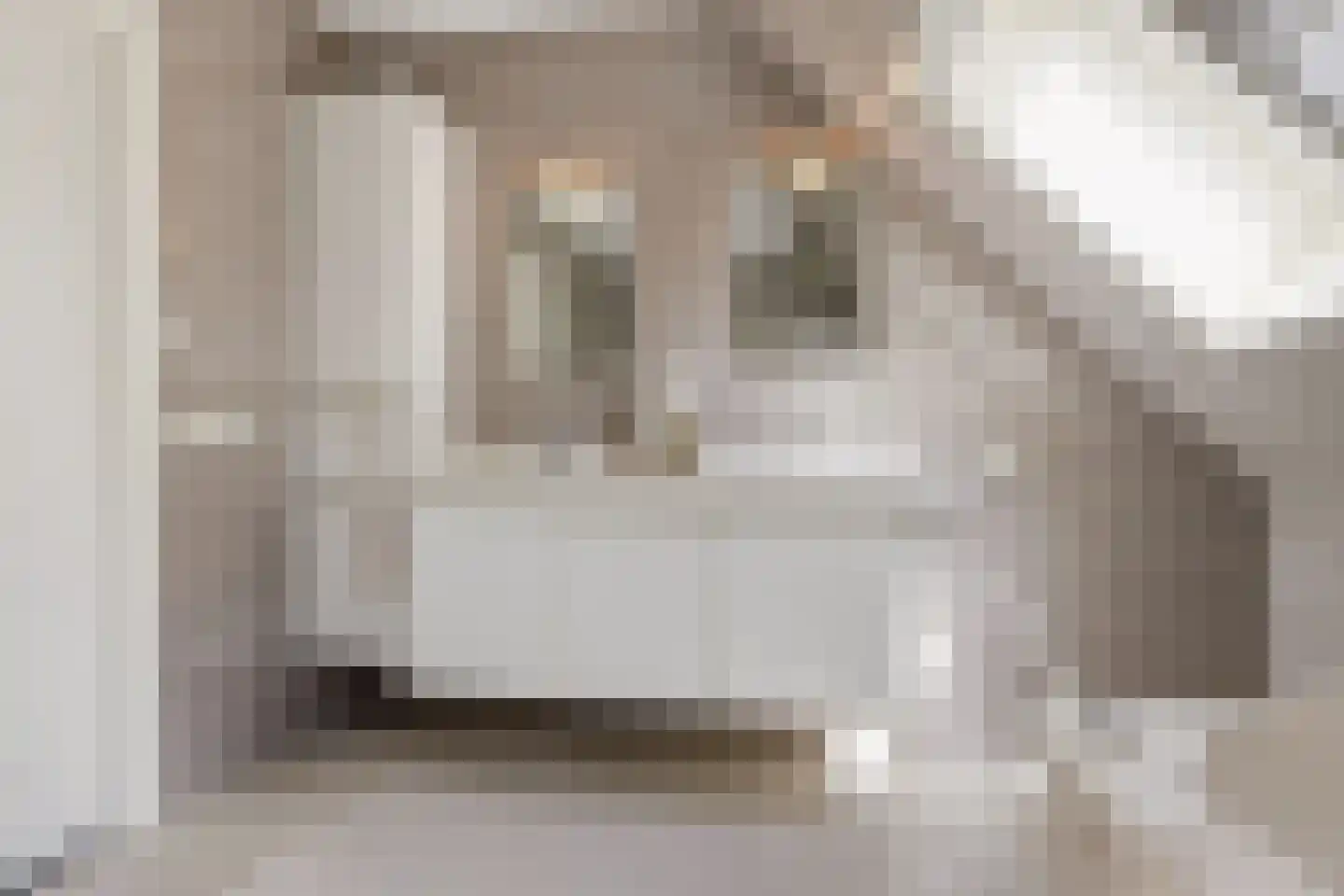 Johannes Verhulststraat 22 Zaandijk thumbnail 39