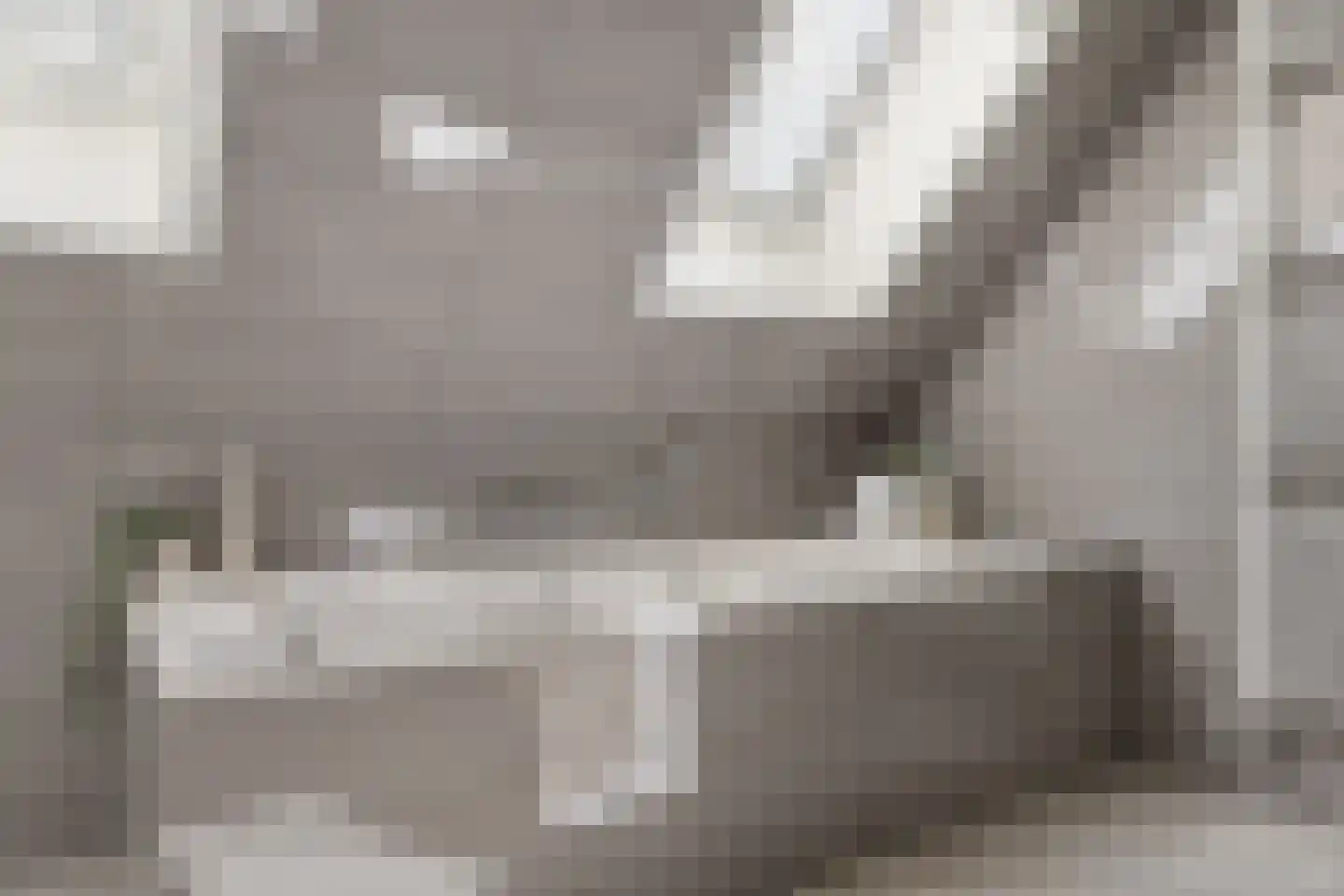 Johannes Verhulststraat 22 Zaandijk thumbnail 40