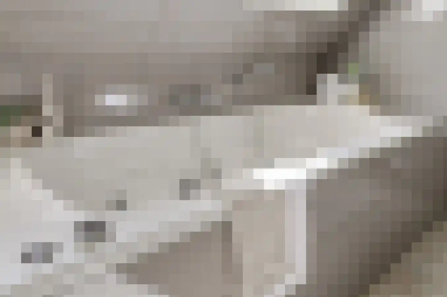 Johannes Verhulststraat 22 Zaandijk thumbnail 41