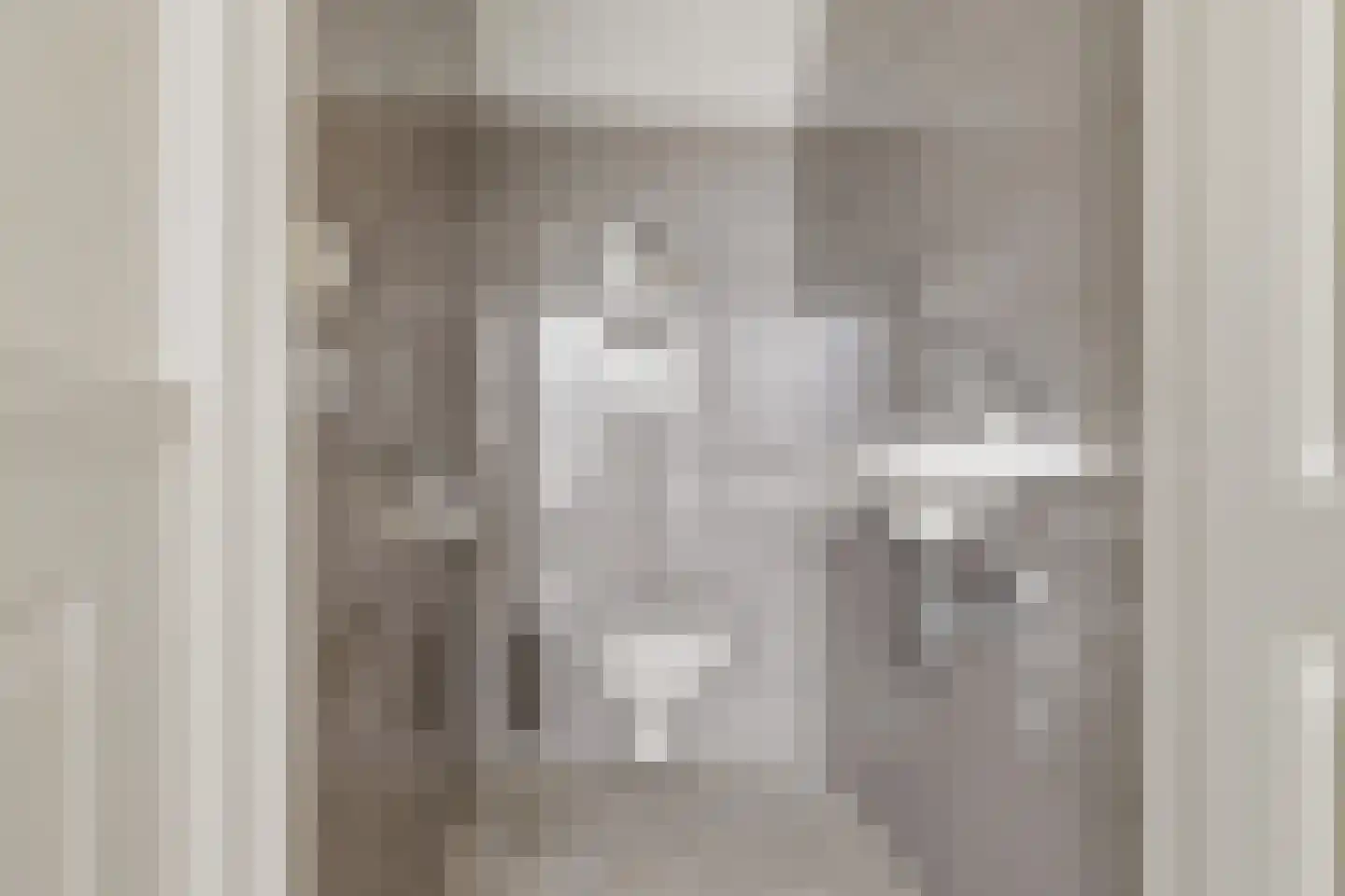 Johannes Verhulststraat 22 Zaandijk thumbnail 42