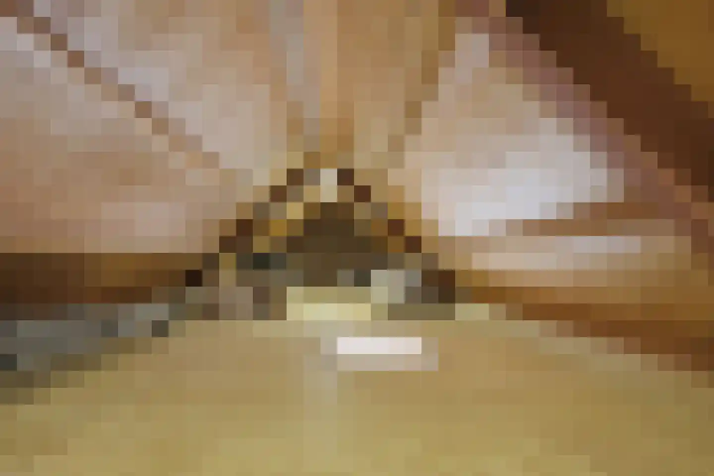 Johannes Verhulststraat 22 Zaandijk thumbnail 43