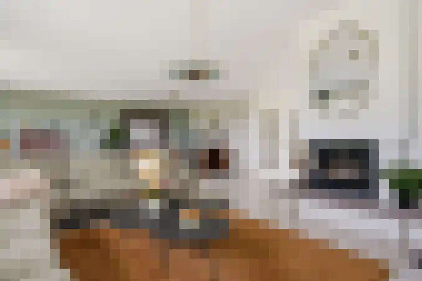 Johannes Verhulststraat 22 Zaandijk thumbnail 9