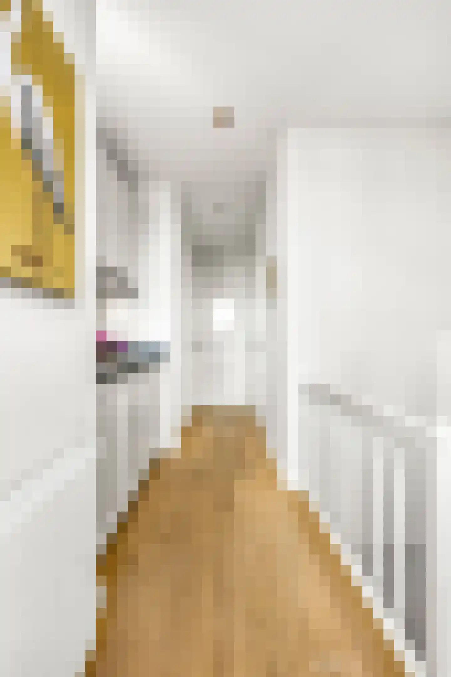 Johannes Verhulststraat 222 2 Amsterdam thumbnail 38