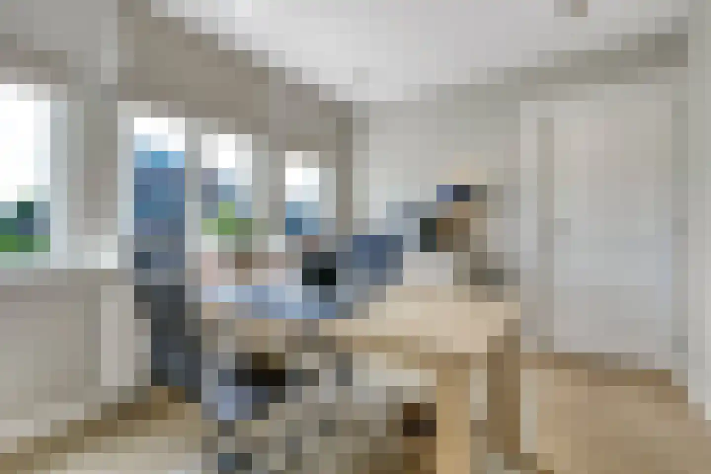 Johannes Verhulststraat 222 2 Amsterdam thumbnail 42