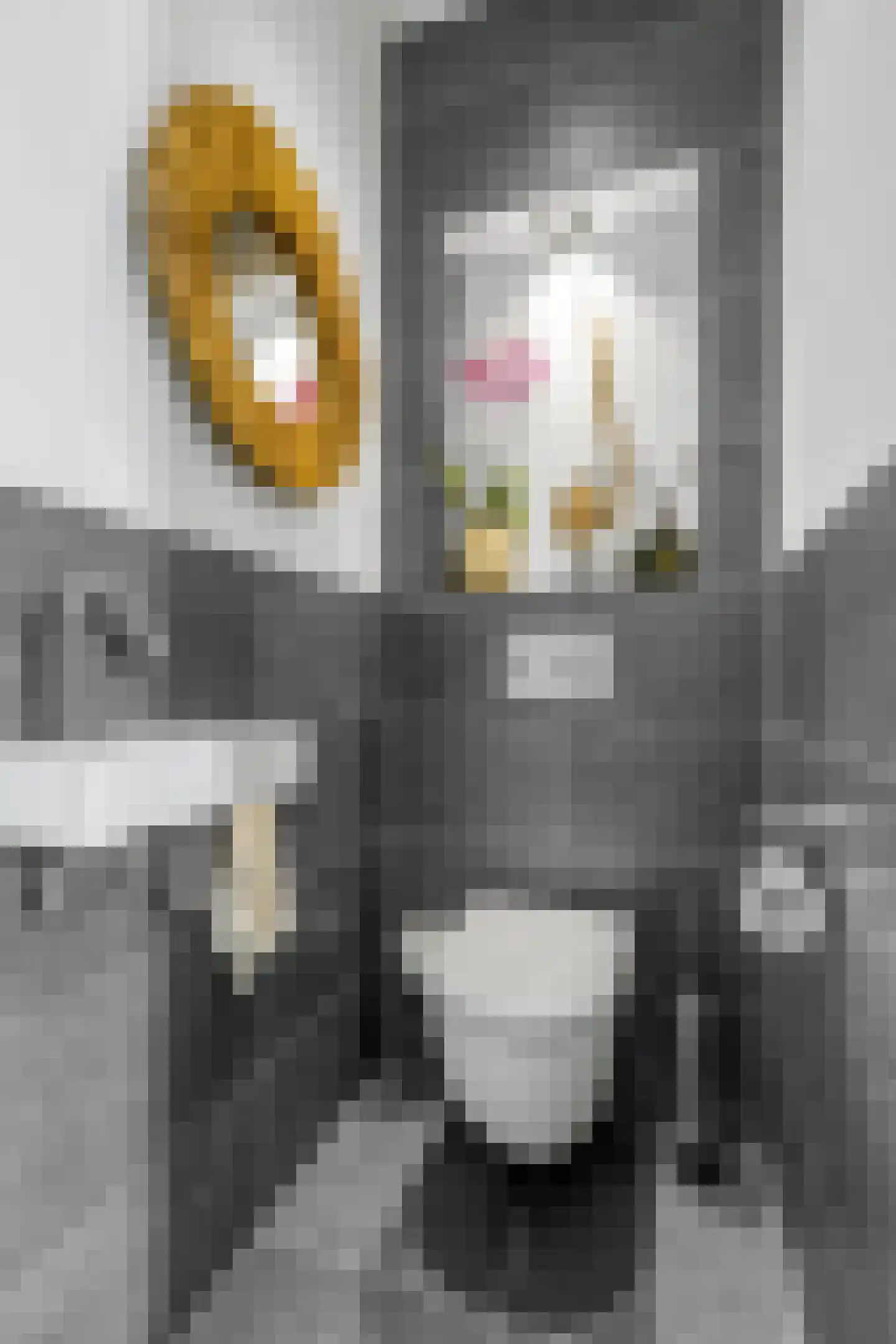 Johannes Verhulststraat 222 2 Amsterdam thumbnail 44