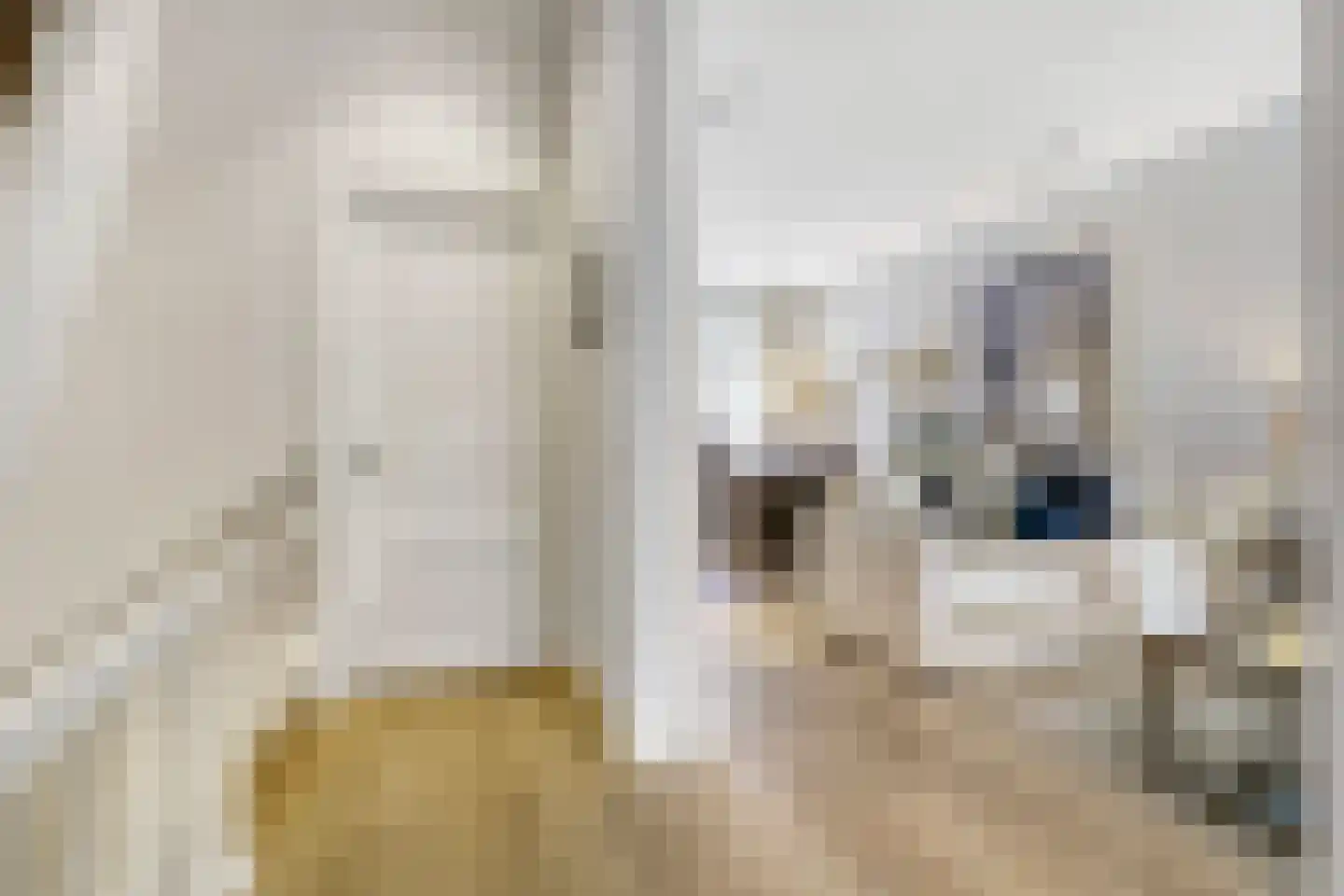 Johannes Verhulststraat 222 2 Amsterdam thumbnail 6