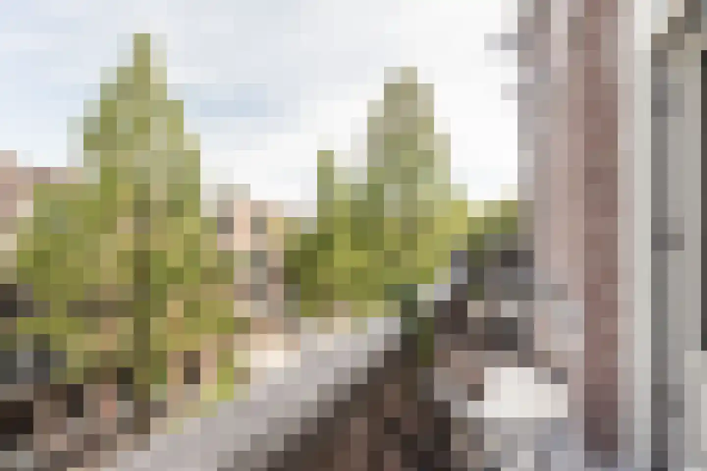 Johannes Verhulststraat 24 1 Amsterdam thumbnail 7