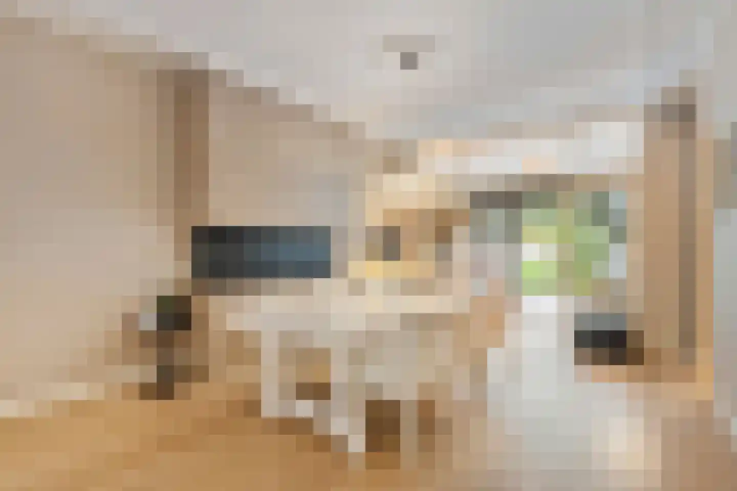 Johannes Verhulststraat 39 2 Amsterdam thumbnail 6