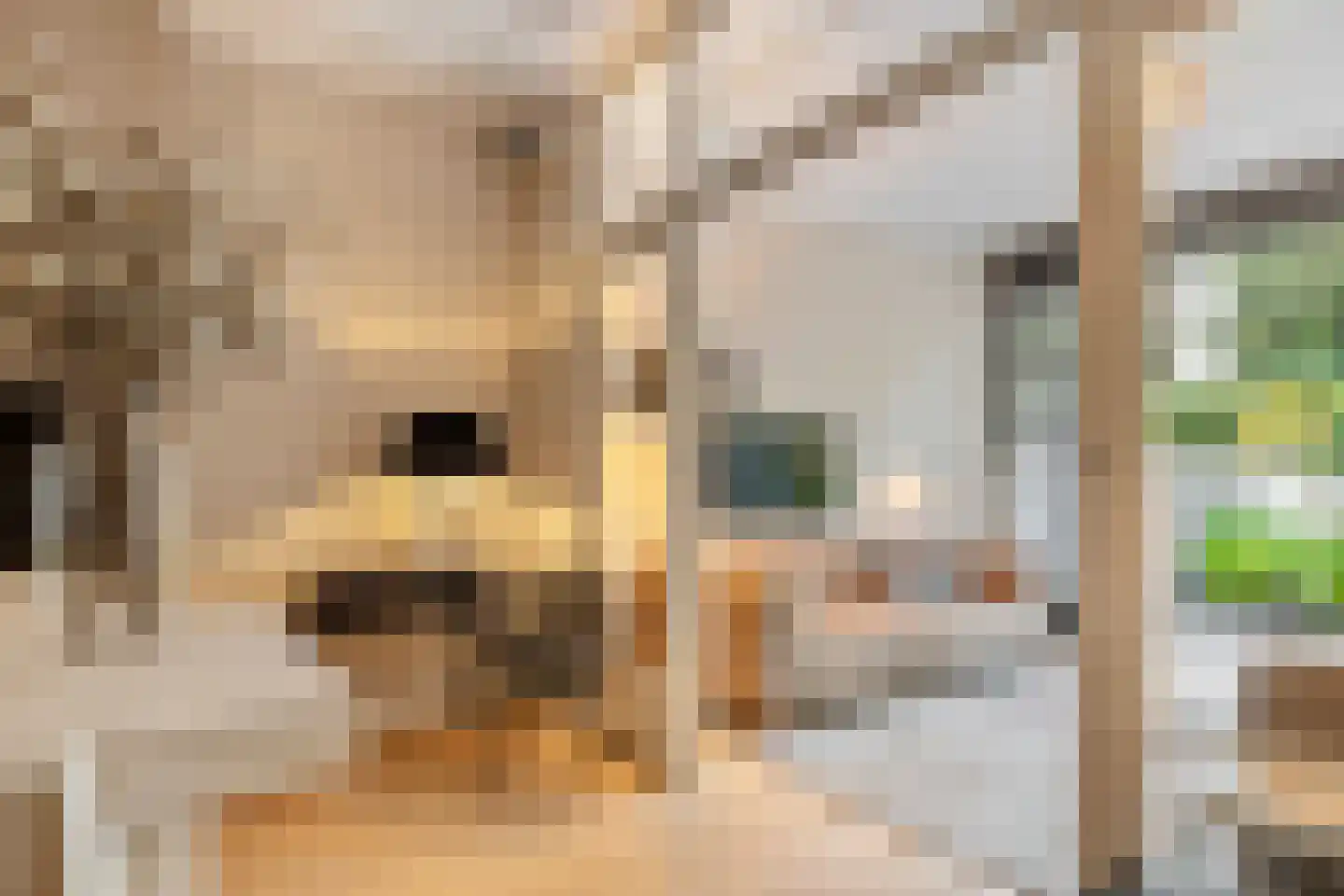 Johannes Verhulststraat 39 3 Amsterdam thumbnail 7