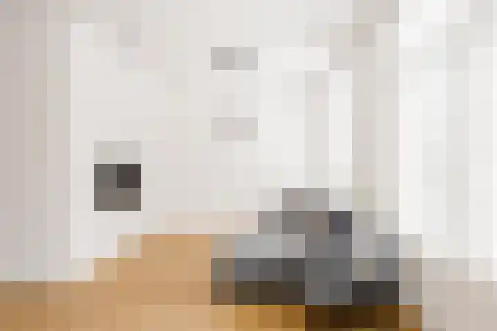 Johannes Verhulststraat 62 1 Amsterdam thumbnail 5