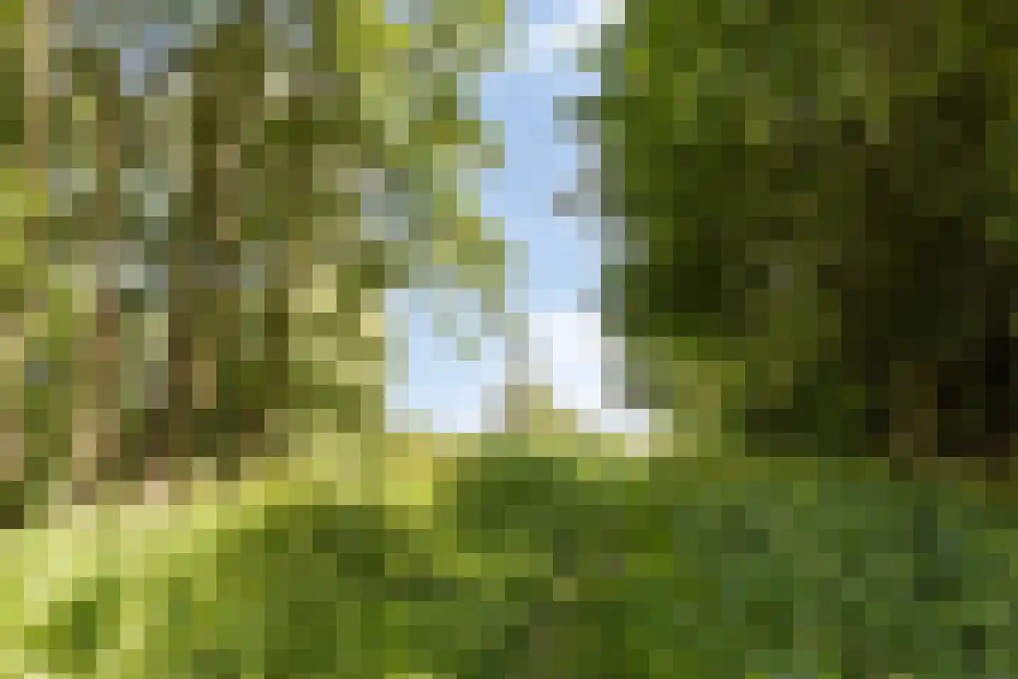 Johannes Vermeererf 18 Vleuten thumbnail 40