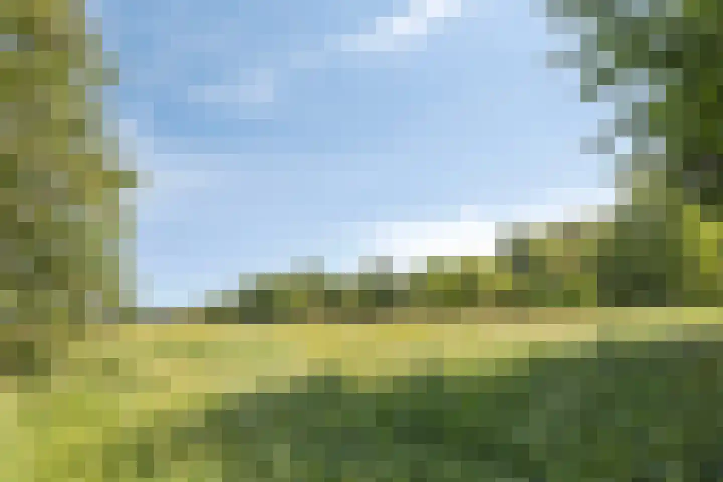 Johannes Vermeererf 18 Vleuten thumbnail 41